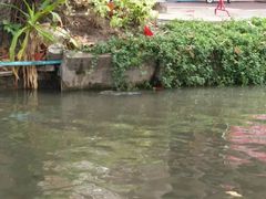 -五世皇金柚木行宫(维护中)