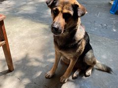 -途中饭店(开化店)