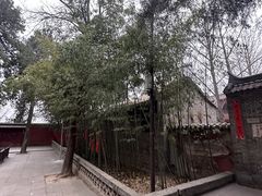 -兴教寺