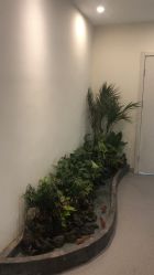-康颜SPA自然疗愈皮肤管理中心