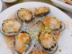 小鲍鱼-顺风海鲜港(金玉兰店)