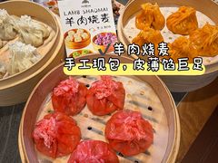 -百彦蒙古包·碳烤羊排·手抓羊肉(万江首店)