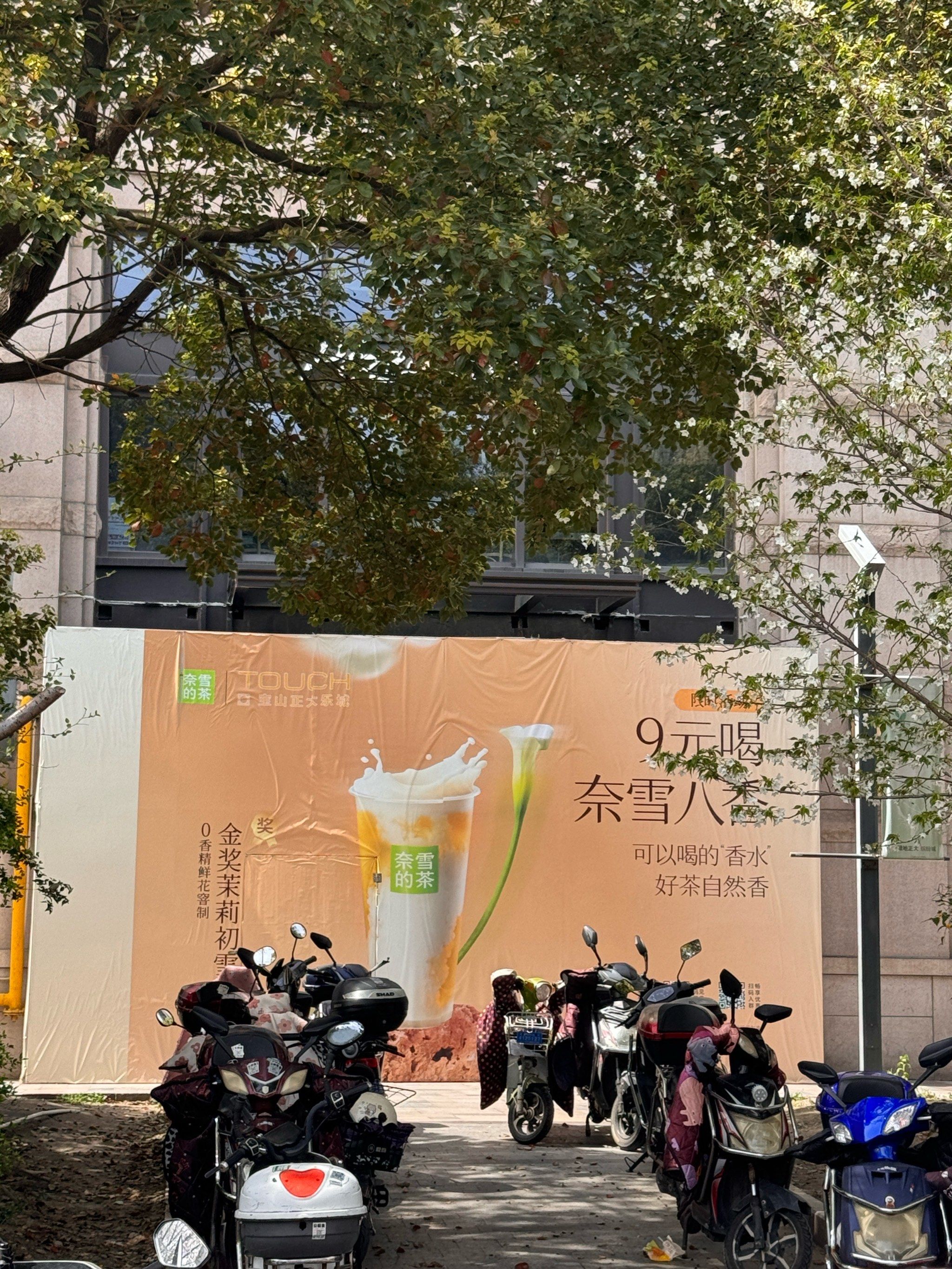 看到围档了,宝山正大乐城马上开奈雪了