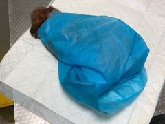 -乐宠宠物店(世纪金源店)