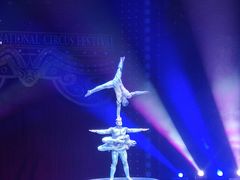 -珠海横琴长隆《卡卡虎奇遇记》