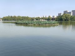 -洛阳市隋唐城遗址植物园