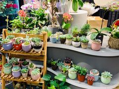 -Olé精品超市(上海虹桥南丰城店)