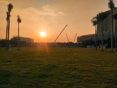 -宝安西湾红树林湿地公园