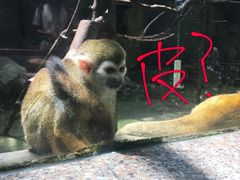 -素清香(解放路店)