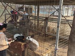 -草根堂农场