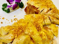 金沙鸡-绿雅居原生态农庄(小涌店)