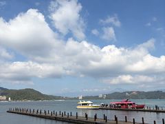 -金盆阿嬷香菇茶叶蛋(玄光店)