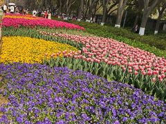 -玄武湖景区-情侣园游乐场