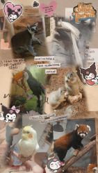 -Zoolung Zoolung动物主题公园(海信广场店)