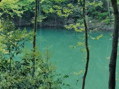 -青龙山国家森林公园