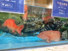 -旺顺阁海鲜广场(亚运村店)