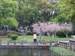 -东钱湖旅游度假区