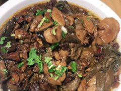 -鸽子窝(宋庄店)