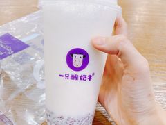 -一只酸奶牛(群光店)