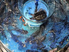 -魏铭鱼头捞饭(晋阳路店)