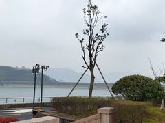 -江南天池