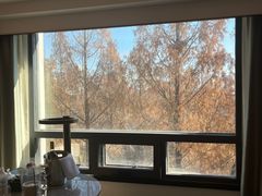 -南京THE TAI太和紫金大酒店