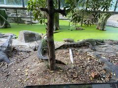 -常州武进九洲喜来登酒店