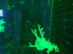 -多彩贵州城极地海洋世界