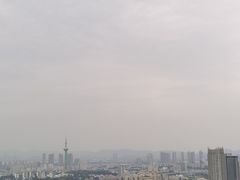 -紫峰大厦