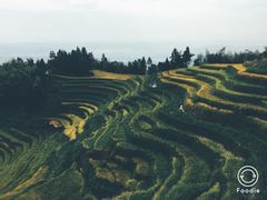 -紫鹊界梯田景区