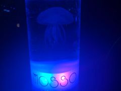 -MOSSO音乐酒吧·Live House(南京西路店)