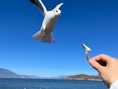 -小普陀