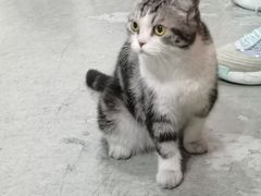 -一品格美术·中考高中成人美术培训