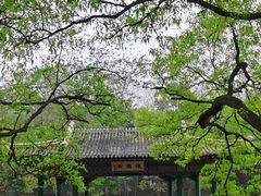 -紫金山山顶公园