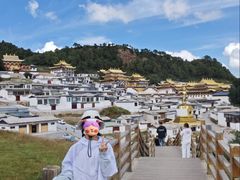-四川郎木寺镇