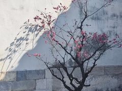 -青果巷历史文化街区