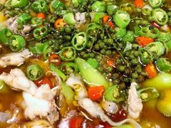 -三猫黑鱼花(南大店)