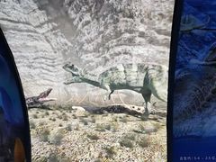 -房山世界地质公园博物馆