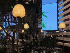 -桂满陇·海市蜃楼·黑金(国金店)