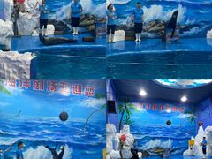 -左海海底世界