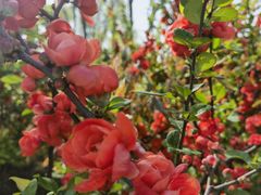 -济南国际园博园