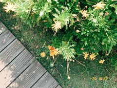 -阿哈湖国家湿地公园