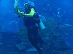 -迪拜水族馆及水下动物园