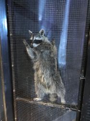 -酷嗒动物文化乐园(cutezoo西溪乐天城店)