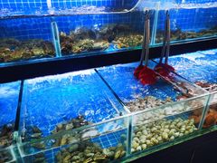 -佰园全日西餐厅-厦门佰翔软件园酒店