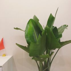-贞禾医美·连锁
