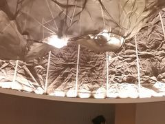 -生如夏花泰式火锅(西村黑金店)