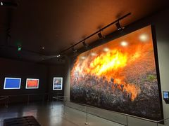 -罗红摄影艺术馆