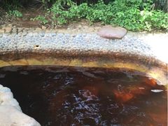 珠江南田温泉-三亚珠江南田温泉度假区
