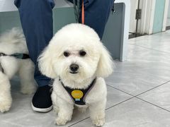 -达爱动物医院·犬猫分区·CT·复杂眼科(远洋山水分院)